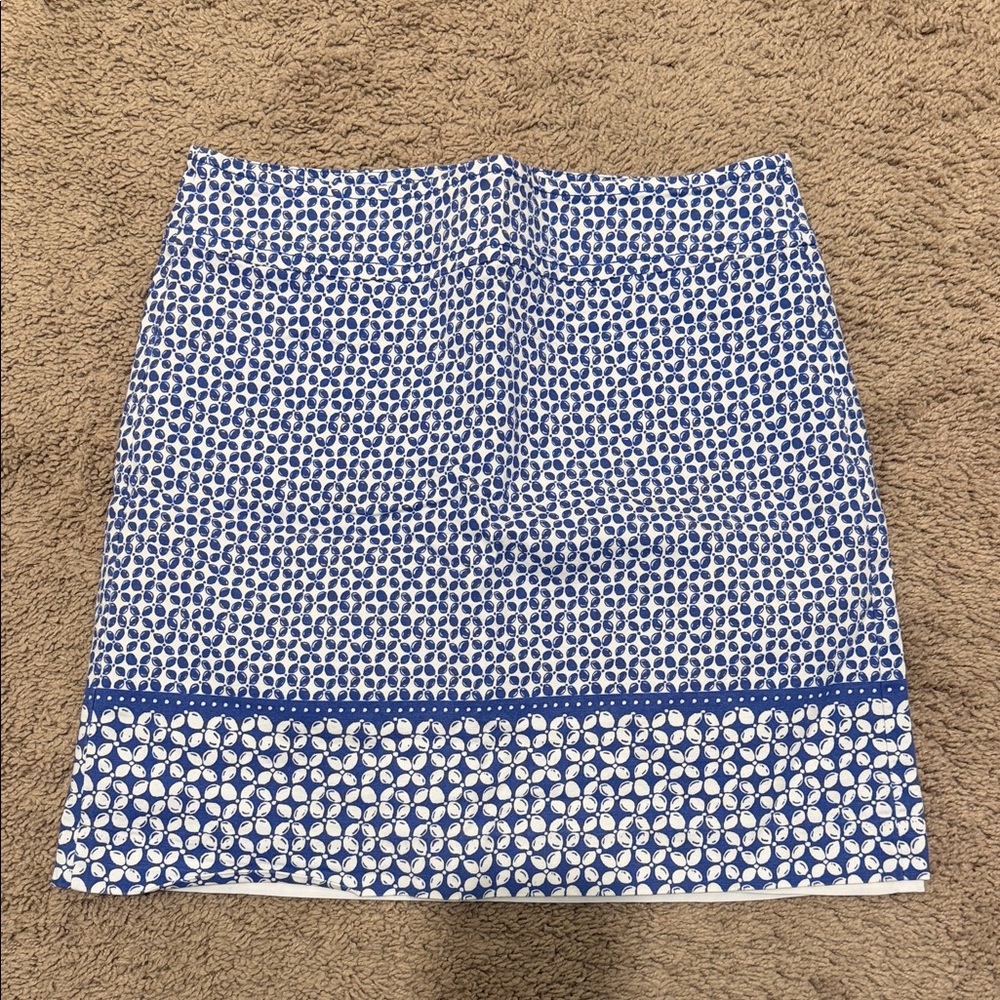Talbots Blue and White Mini Skirt